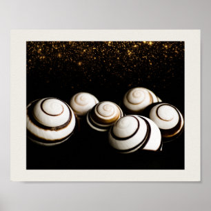 Affiche Coquillages noirs et dorés Art tropical imprimable