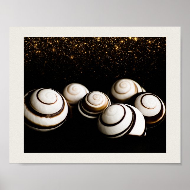 Affiche Coquillages noirs et dorés Art tropical imprimable (Devant)