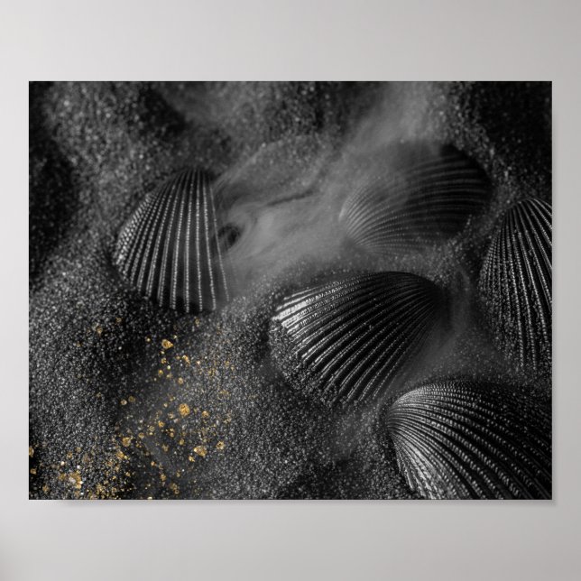 Affiche Coquillages noirs et sable Tropical Printable Art (Devant)