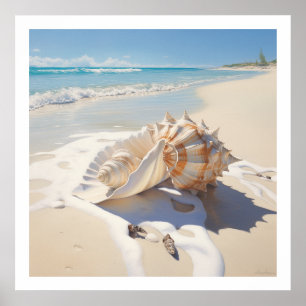 Affiche Coquille de conque au bord de la plage