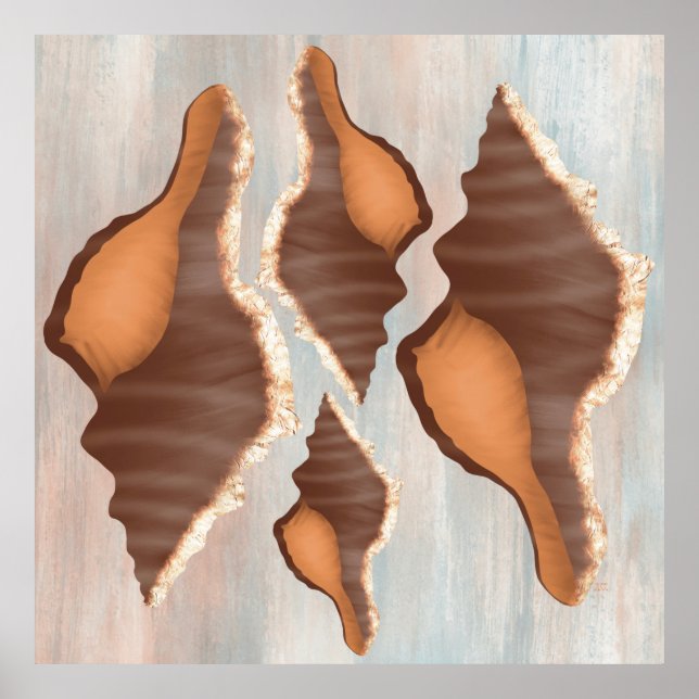 Affiche Coquille de conque d'aquarelle (Devant)