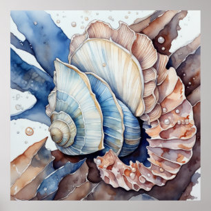 Affiche Coquille de conque rouge et bleu
