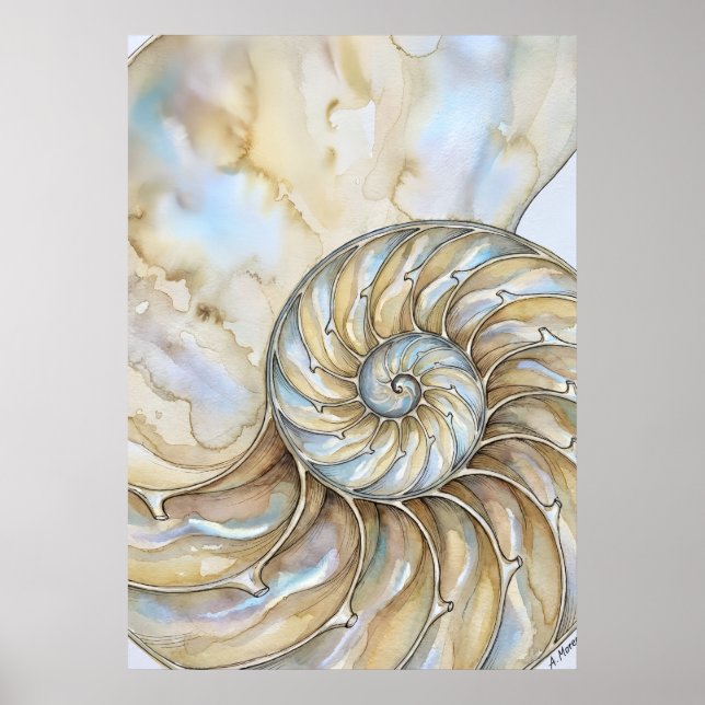 Affiche Coquille de Nautilus Aquarelle Spirale Dorée Art O (Devant)