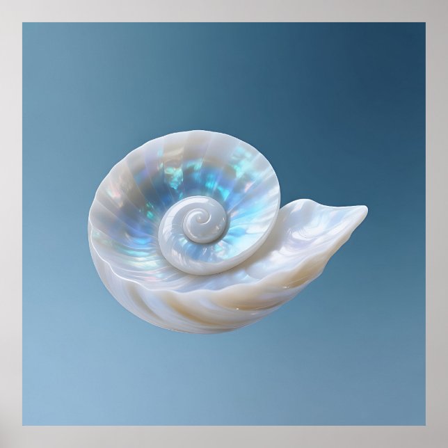 Affiche Coquille de Nautilus iridescente en spirale (Devant)