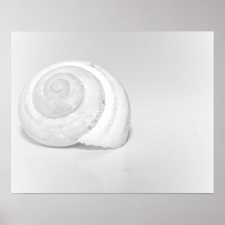Affiche Coquille d'escargot blanc Photographie minimaliste