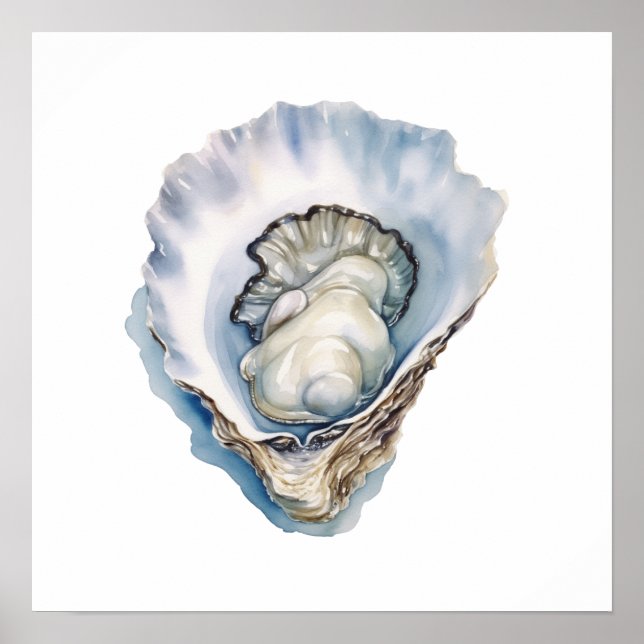 Affiche Coquille d'huître à l'aquarelle (Devant)