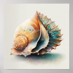 Affiche Coquille inspirée du Conch doré avec des ombres sa