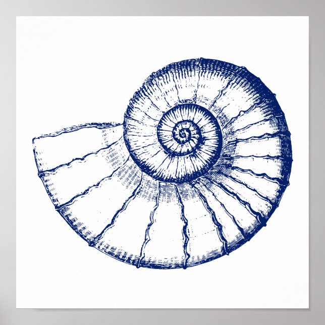 Affiche Coquille marine minimaliste de Nautilus (Devant)