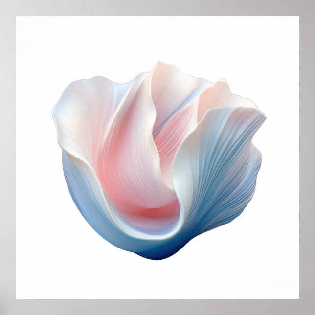 Affiche Coquille rose, bleue et blanche Abstraite (Devant)