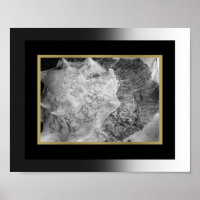 Coquille tropicale noire et or Art imprimable