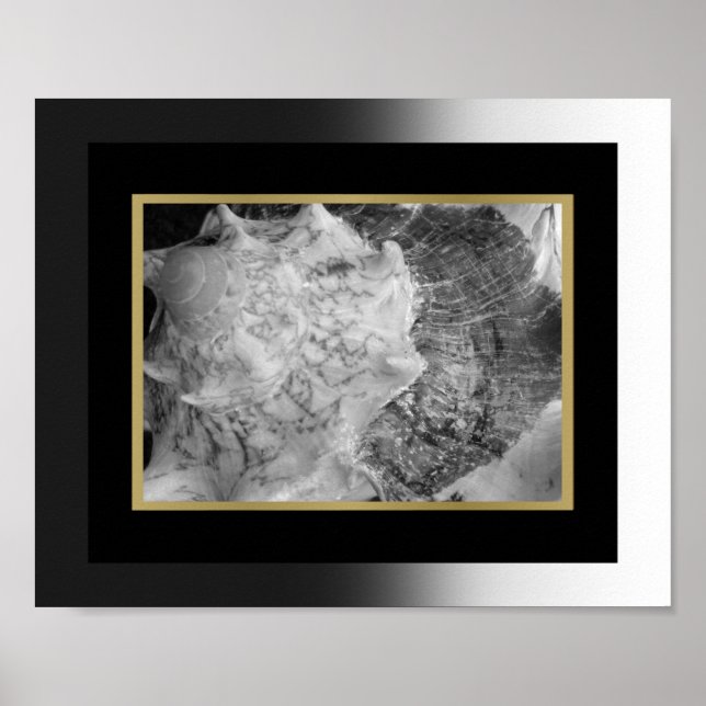 Affiche Coquille tropicale noire et or Art imprimable (Devant)