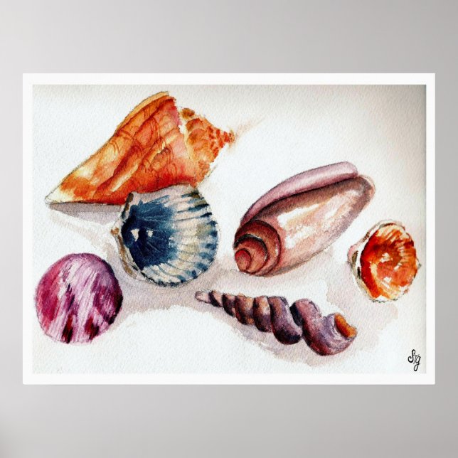 Affiche Coquilles d'été (Devant)
