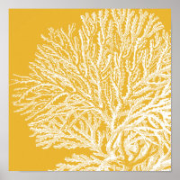 Corail jaune et blanc