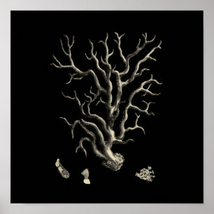 Affiche Corail noir et tan