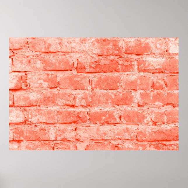Affiche Corail vivant. Arrière - plan de mur de briques. C (Devant)