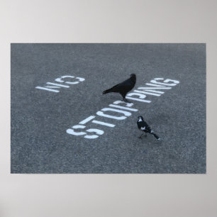 Affiche Corbeau et pie
