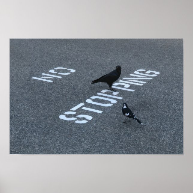 Affiche Corbeau et pie (Devant)