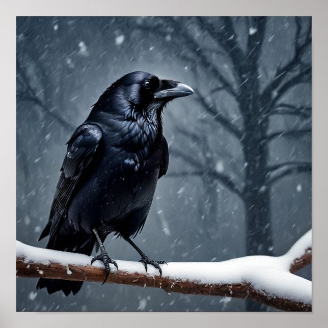 Affiche Corbeau noir foncé (Devant)