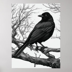 Affiche Corbeau perché sur des branches nues d'hiver