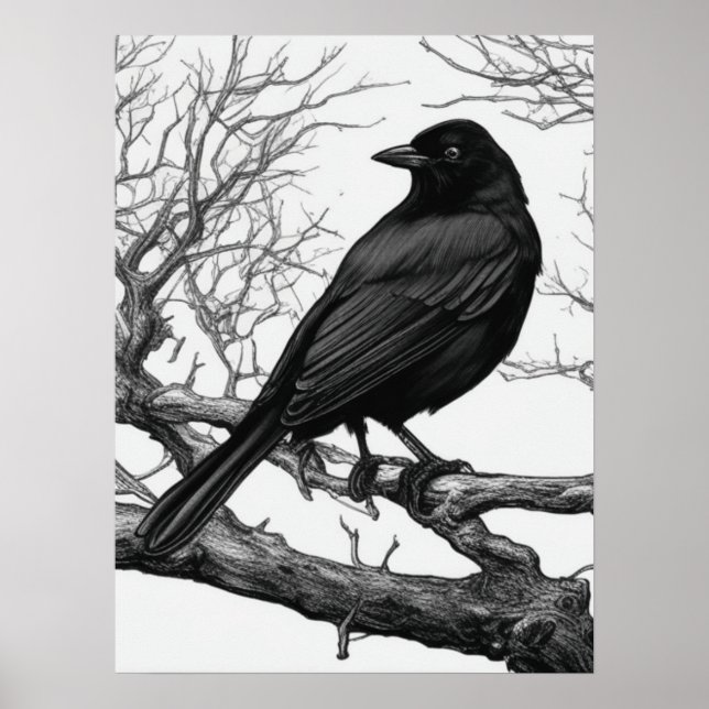 Affiche Corbeau perché sur des branches nues d'hiver (Devant)