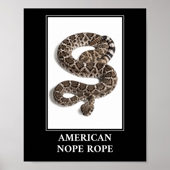Affiche Corde à corde américaine - Serpent à sonnette à so (Devant)