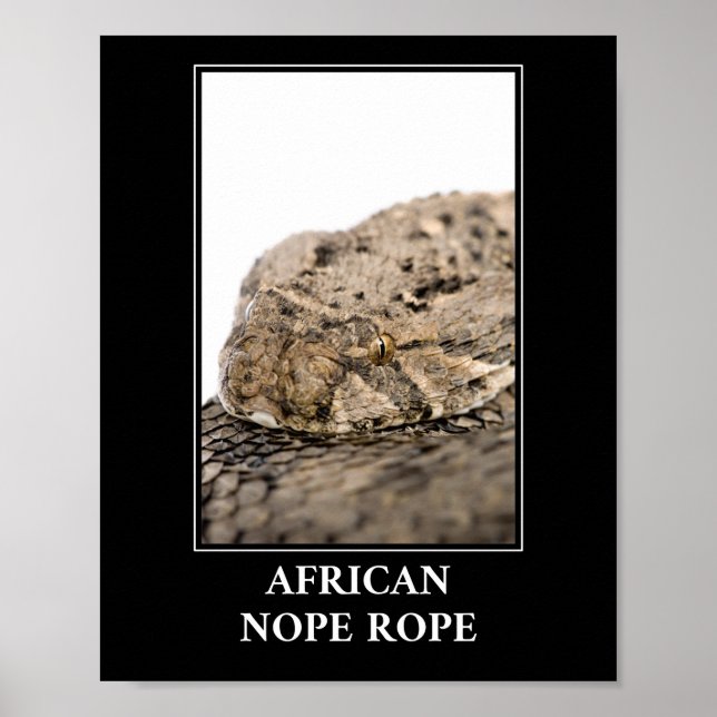 Affiche Corde africaine à corde - Puff adder Snake Danger (Devant)