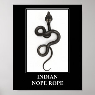Affiche Corde indienne à cou - Cobra Snake Danger