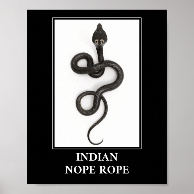 Affiche Corde indienne à cou - Cobra Snake Danger (Devant)