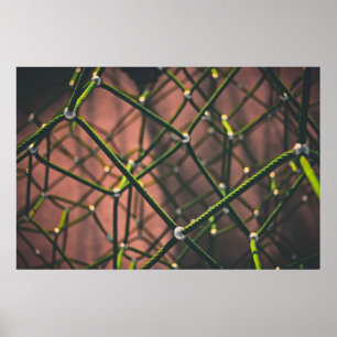 Affiche Corde verte et noire