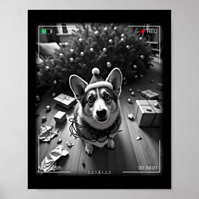 Affiche Corgi de Noël pris en photo  (Devant)