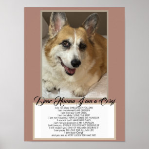 Affiche Corgi Parle