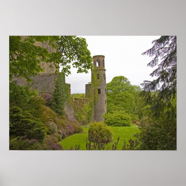 Affiche Cork, Ireland. The infamous Blarney Castle 2 (Devant)
