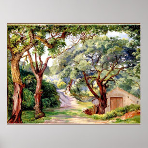 Affiche Cork Trees à Cintra près de Lisbonne,