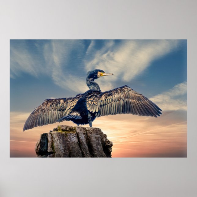 Affiche Cormorant (Devant)