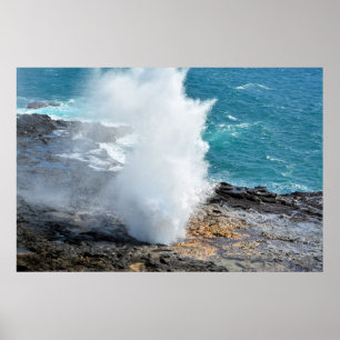 Affiche Corne à couver