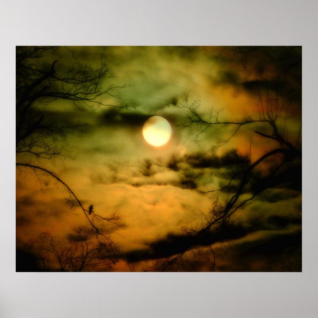 Affiche Corneille Et Ciel Omineux (Devant)