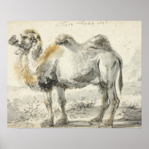 Affiche Cornelis Saftleven - Un chameau