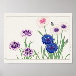Affiche Cornflower de Tanigami Konan