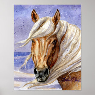 Affiche Corona du bassin de lavage de sable HMA Colorado