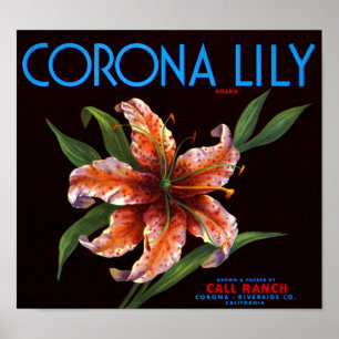 Affiche Corona Lily
