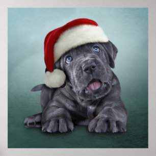 Affiche Corso à la canne à chiot en casquette rouge du P