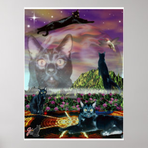 Affiche Cosmos