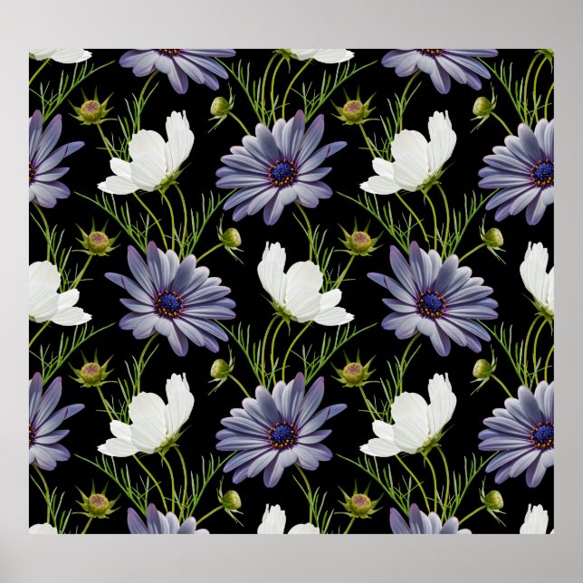 Affiche Cosmos Daisy Floral Collage sans fil (Devant)