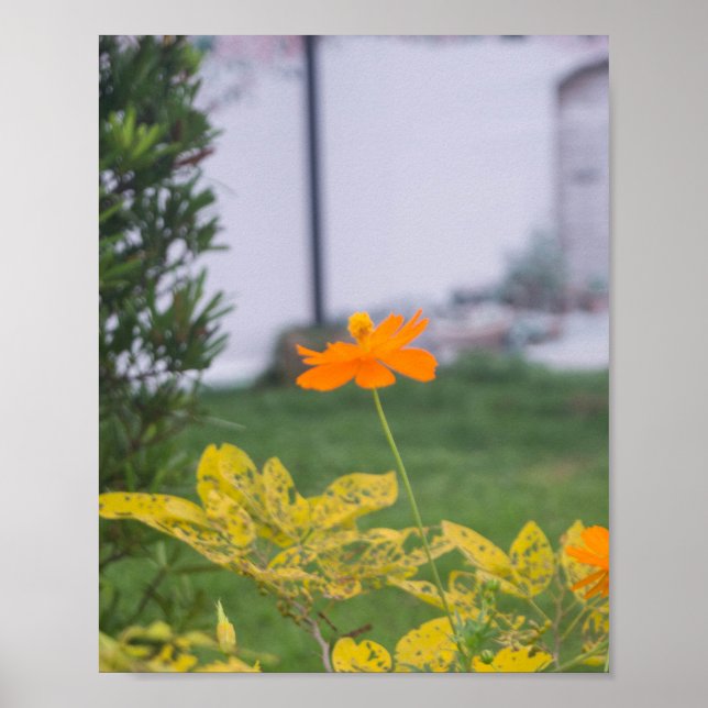 Affiche Cosmos de soufre 03 (Devant)