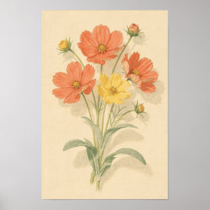 Affiche Cosmos Floral Corail et Jaune Beurre