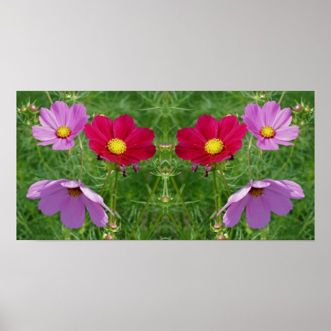 Affiche Cosmos Flower Trio Mirror Abstrait (Devant)