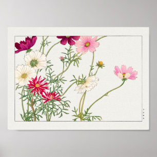 Affiche Cosmos par Tanigami Konan