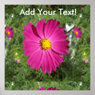 Affiche Cosmos Red Flower