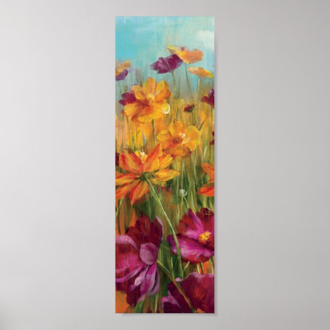 Affiche Cosmos sur le terrain (Devant)