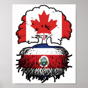 Affiche Costa Rica Costa Rica Canada Canada Racines d'arbr